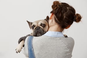 Hond_french bulldog in de armen van zijn baasje_banner
