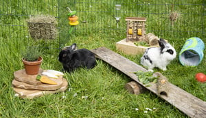 Konijn-tuin-buitenspelletje-voor-twee-konijnen-DIY