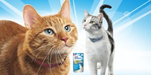 banner purina dentalife cat incl product