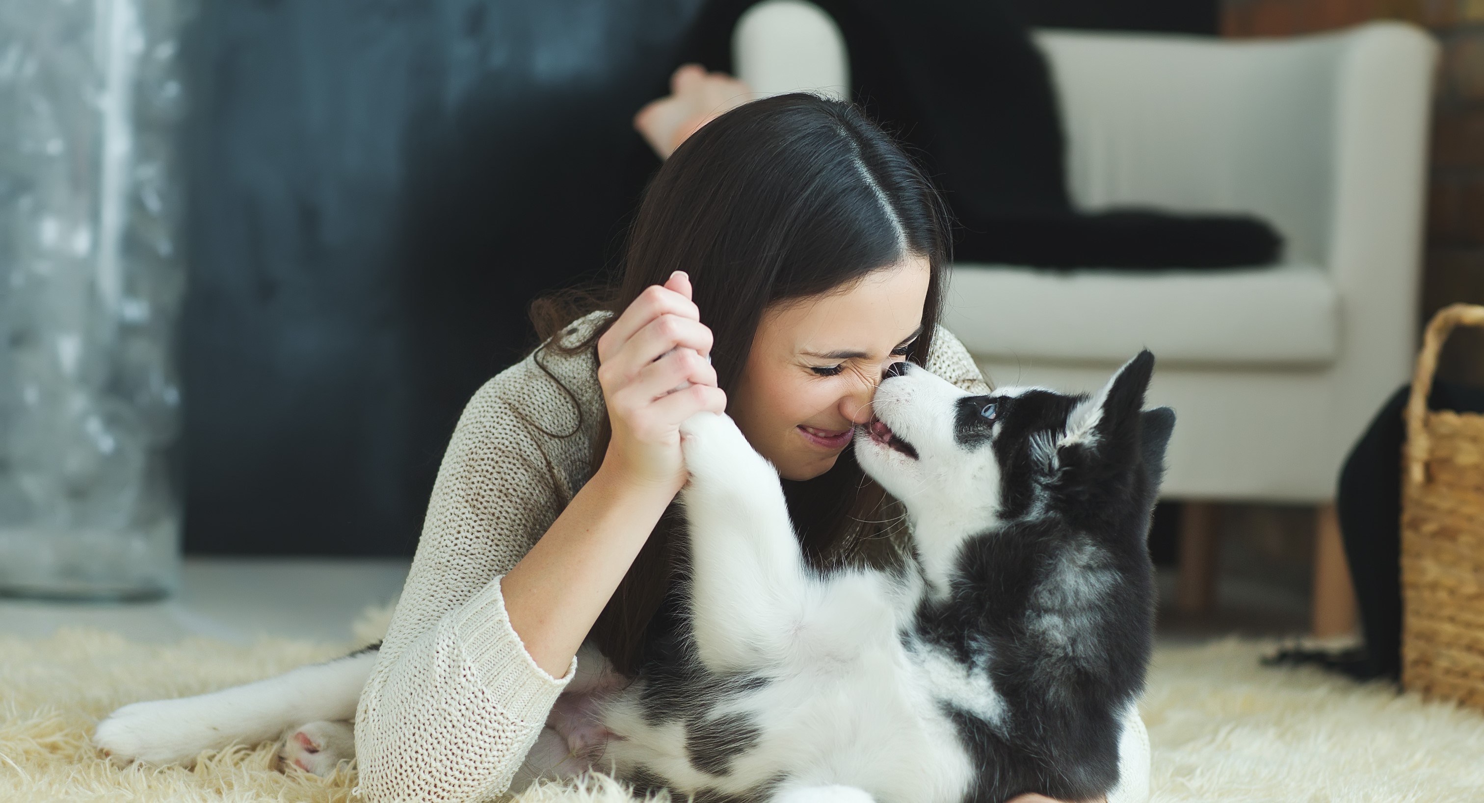 8 Preuves Surprenantes Que Votre Chien Vous Aime